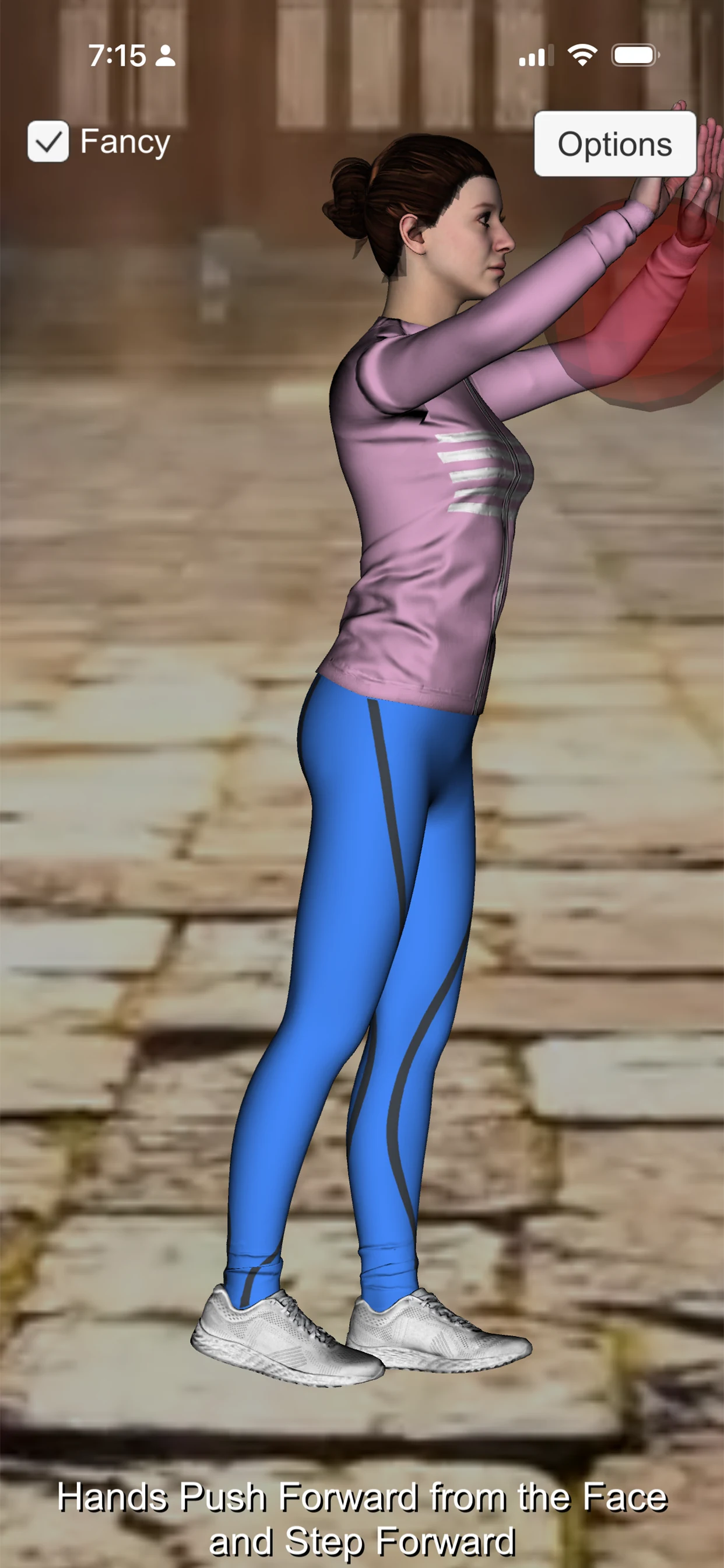 Tai Chi Claire and Earnest screenshot